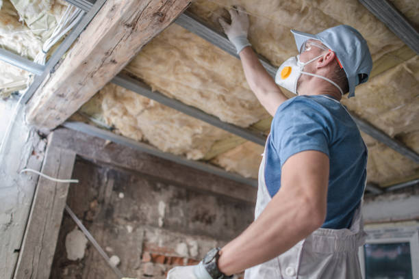 Best Spray Foam Insulation in South Vacherie, LA