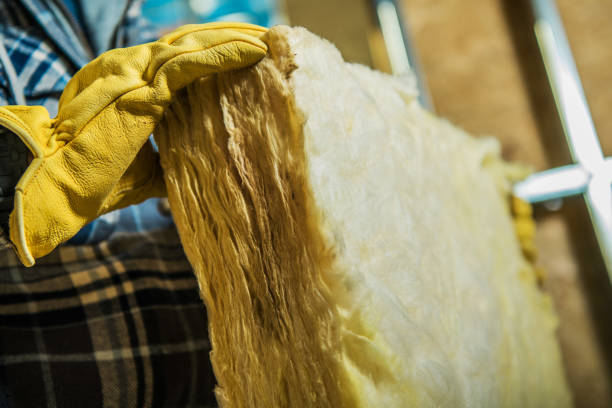 Best Geographic-Specific Insulation Services in South Vacherie, LA