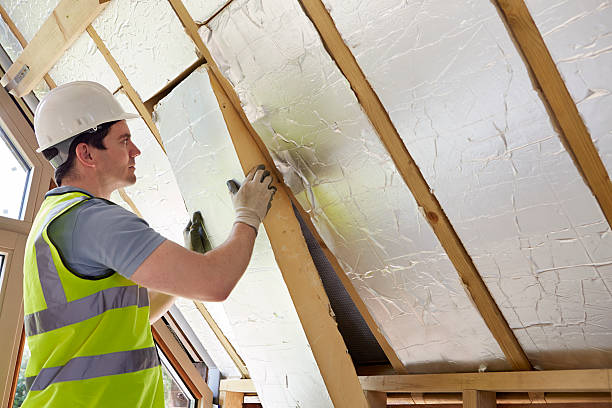 Best Spray Foam Insulation in South Vacherie, LA